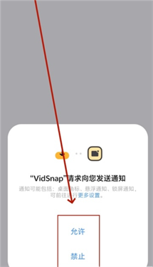 VidSnap
