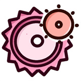 齿轮辅助v13.17.0