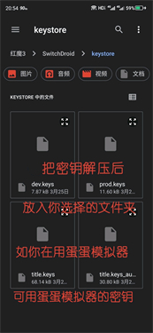 skyline模拟器汉化版