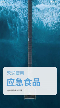 应急食品派蒙