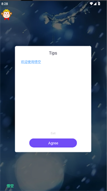 悟空直装