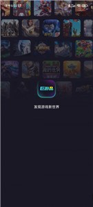 巨游品
