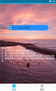 磁力兔子搜索引擎 汉化版