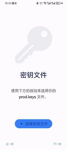 Nyushu Emulator模拟器