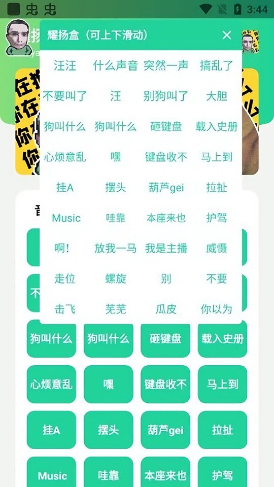 耀扬盒