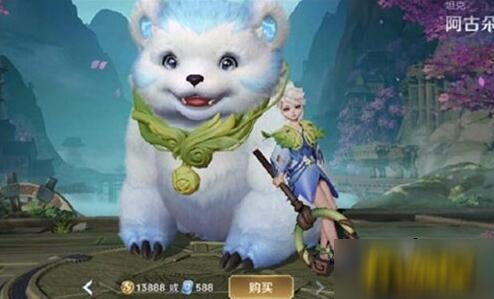 王者荣耀阿轲多少金币