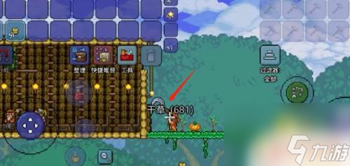 泰拉瑞亚怎么快速获得干草 泰拉瑞亚 干草怎么得