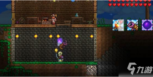 《泰拉瑞亚》太阳花盆栽为什么长不出