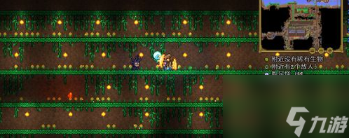 泰拉瑞亚太阳花怎么获得？[泰拉瑞亚]