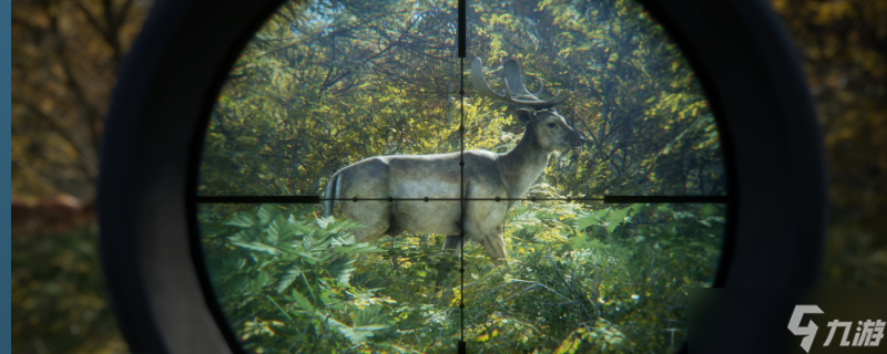 猎人荒野的召唤狗怎么用