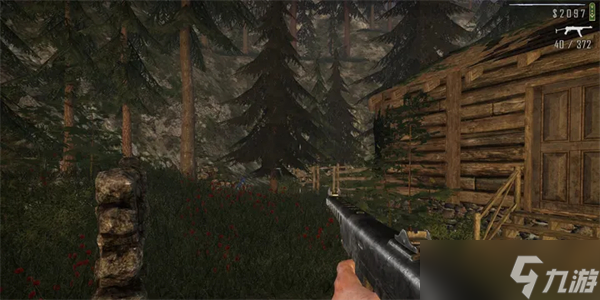 边境检察官前期怎么玩