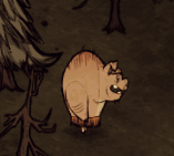 饥荒联机版冬天怎么过 饥荒怎么熬过冬天