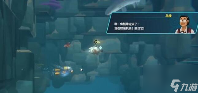 潜水员戴夫银泰坦扳机鱼怎么抓