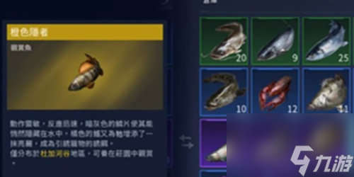 星球重启观赏鱼怎么养