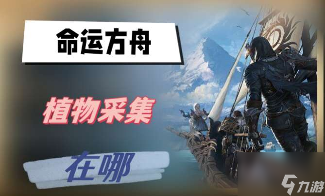 命运方舟植物采集的位置
