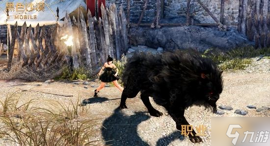黑色沙漠手游驯兽师怎么召唤黑狼 驯兽师黑狼召唤方法
