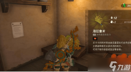 王国之泪海拉鲁米怎么获得-塞尔达传说王国之泪海拉鲁米在哪买