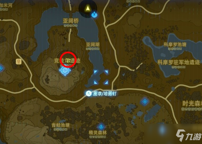 塞尔达莱尼尔位置