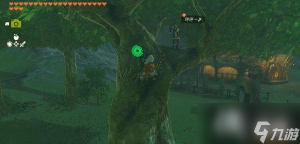 《塞尔达传说王国之泪》静静萤火虫在哪里抓？静静萤火虫位置