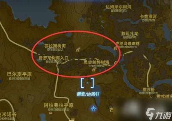 《塞尔达传说王国之泪》静静萤火虫在哪里抓？静静萤火虫位置