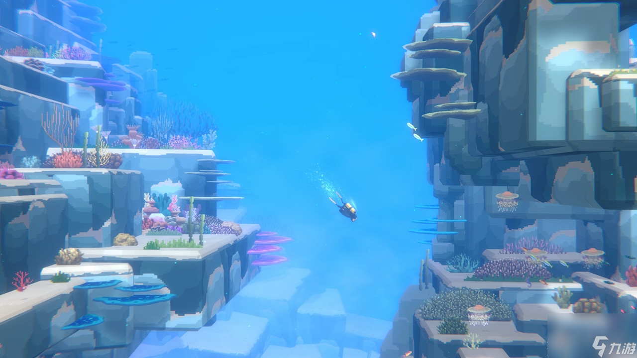 潜水员戴夫红海龟在哪抓