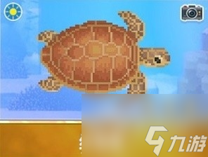 潜水员戴夫红海龟在哪抓