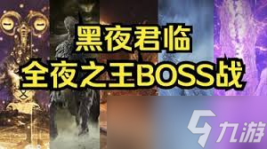 艾尔登法环黑夜君临全夜王BOSS战合集