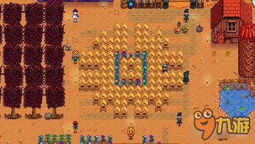 星露谷物语怎么捉兔子