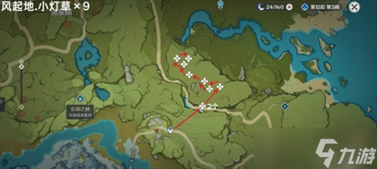 原神小灯草在哪里采集 原神小灯草在哪里及采集路线图大全