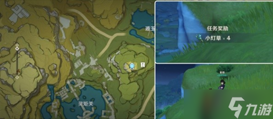 原神小灯草在哪里采集 原神小灯草在哪里及采集路线图大全