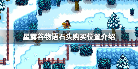 星露谷物语在哪买石头