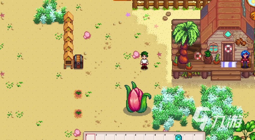 星露谷物语怎么买家具