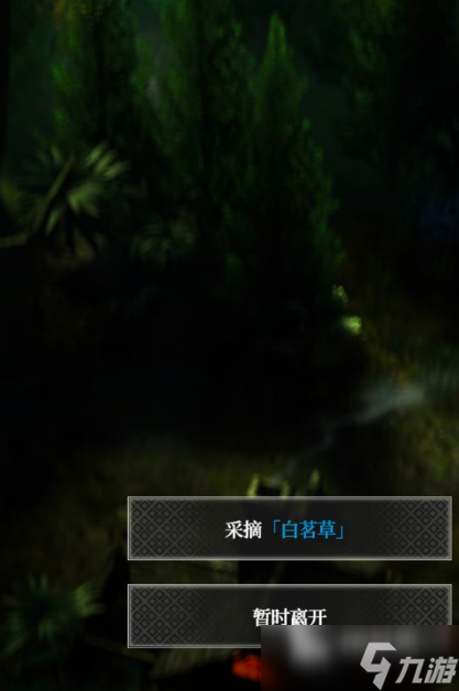 地下城堡4白茗草位置在哪里 地下城堡4白茗草如何获取