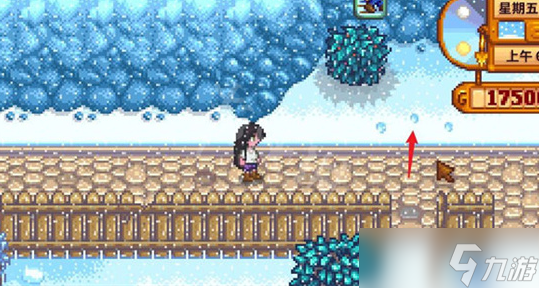 星露谷物语小黑在哪里