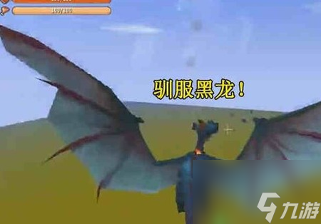 迷你世界怎么驯服飞龙