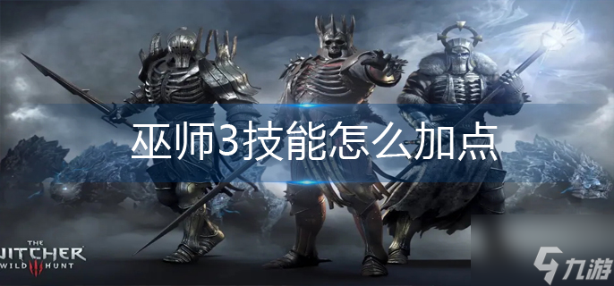 巫师3技能点怎么刷