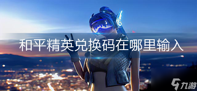 和平精英在哪里输入总换码