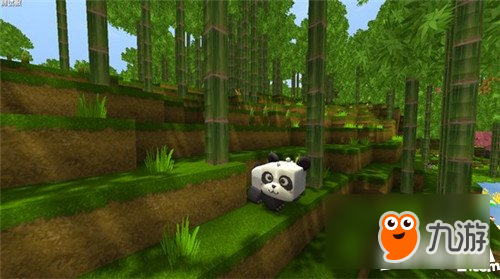 迷你世界怎么抓熊猫