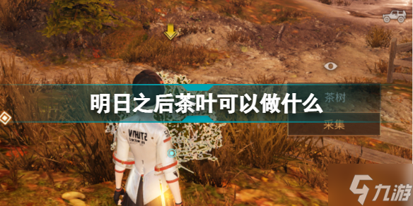 明日之后钢可以做什么