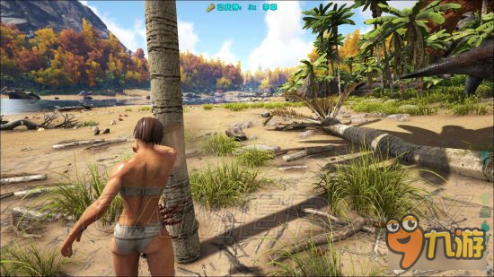 方舟怎么刷木头