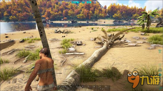 《方舟生存进化》快速刷木头方法推荐