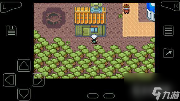 究极绿宝石超进化石头全分布在哪里? (精灵宝可梦究极绿宝石)