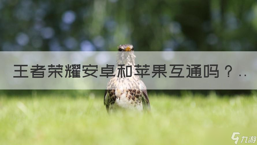 王者荣耀互通吗