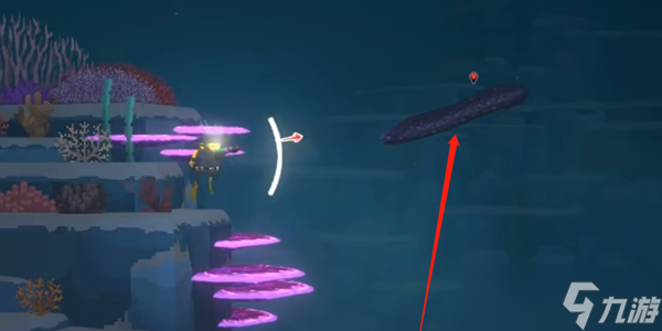 潜水员戴夫海鳝在哪