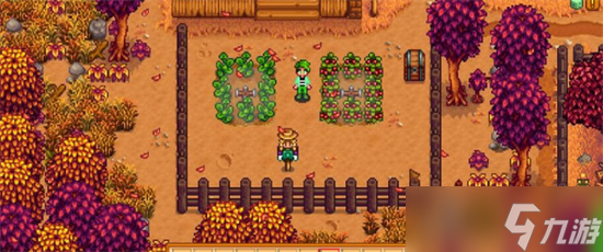 星露谷物语秋天种什么最值钱 星露谷物语秋天种什么最赚钱