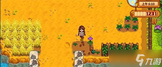 星露谷物语秋天种什么最值钱 星露谷物语秋天种什么最赚钱