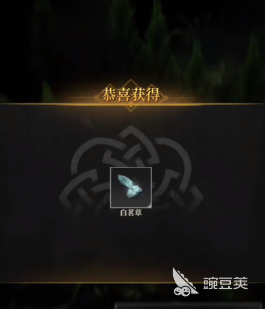 地下城堡4白茗草位置 地下城堡4白茗草获取攻略