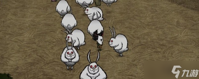 饥荒联机版机缘兔子捕捉方法