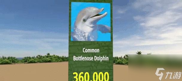 阴阳师小动物数量查询方法是什么 怎么查看小动物数量