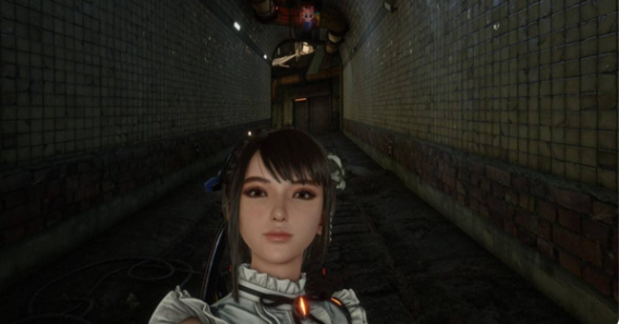 剑星猫咪摄影展全位置在哪?